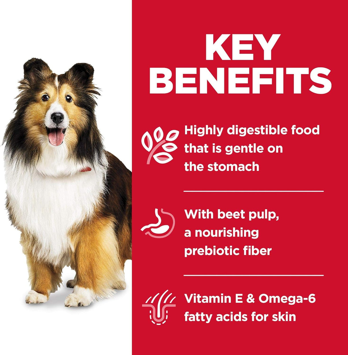 Alimento para Perros húmedo paquete de 12 estofado de pavo