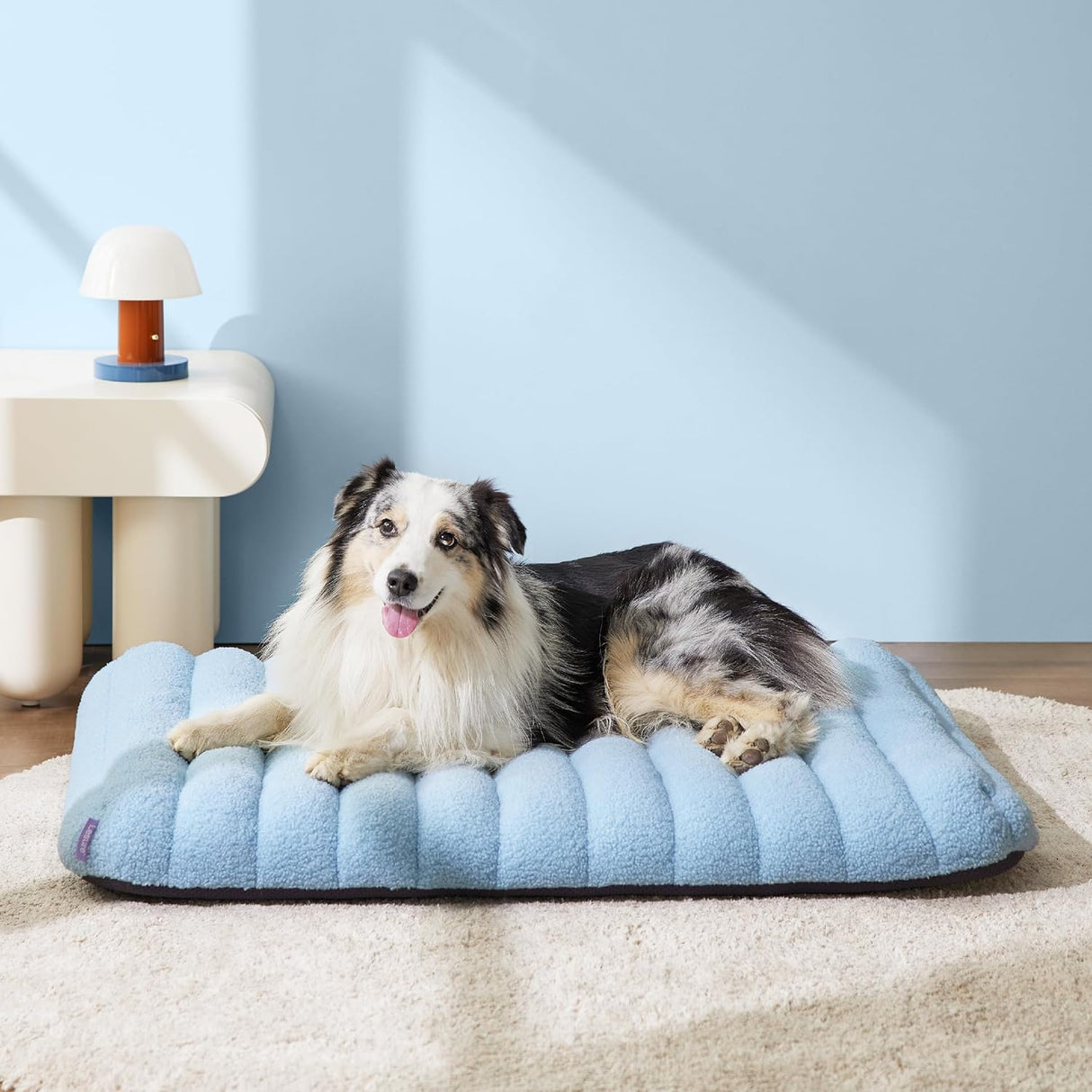 Cama ortopédica de espuma para perros con funda extraíble