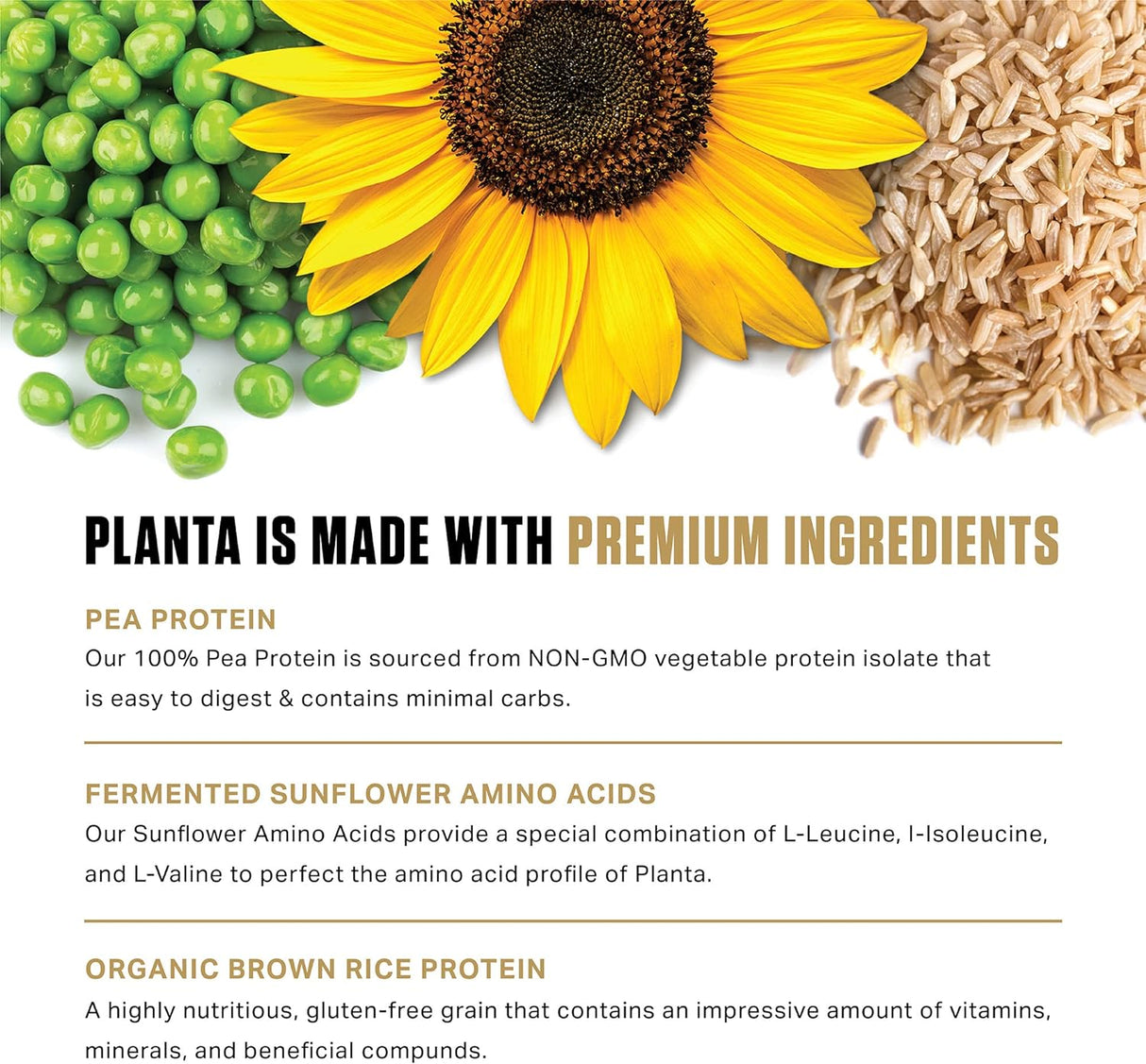 Suplementos Alimenticios Proteína orgánica