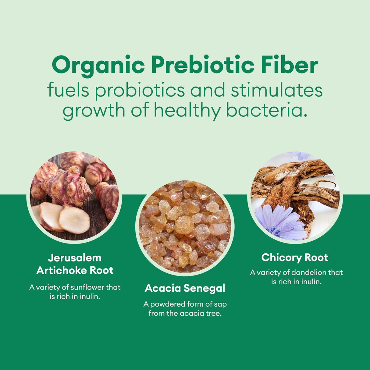 Suplemento Probióticos Lactobacillus Gasseri + 5 cepas 60u