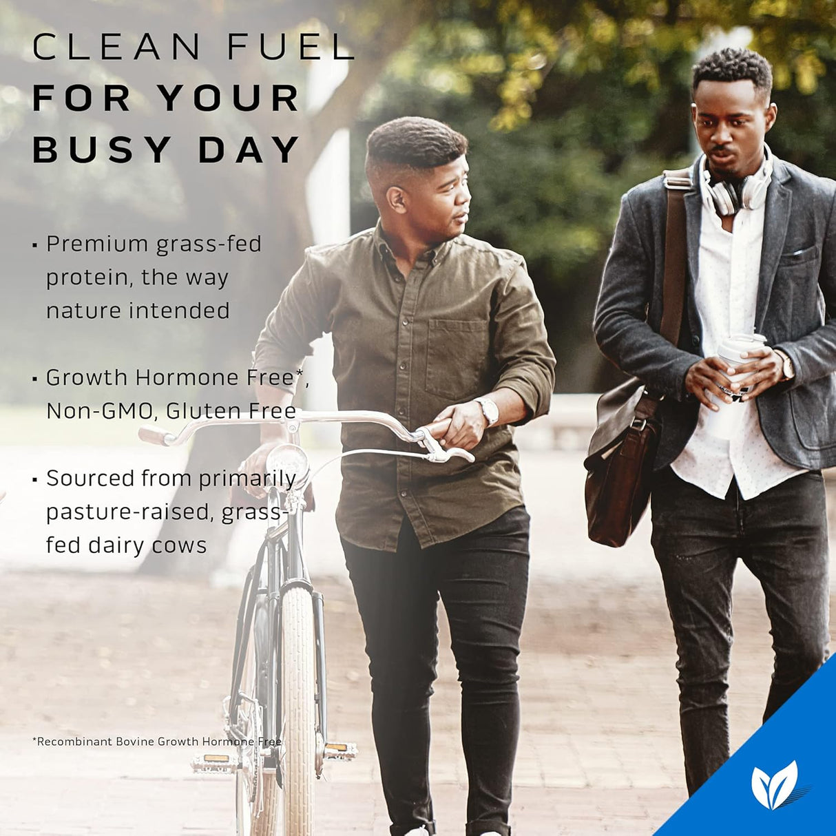 Suplementos Proteína de suero de leche en polvo Vainilla