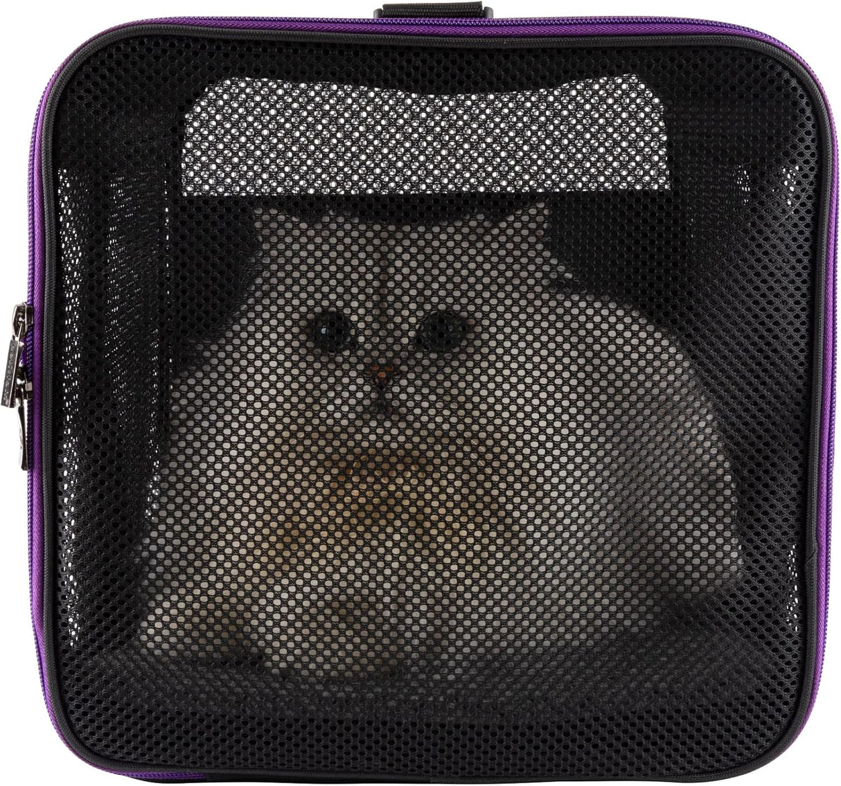Transportín Petisfam para gatos y perros pequeños, fácil uso