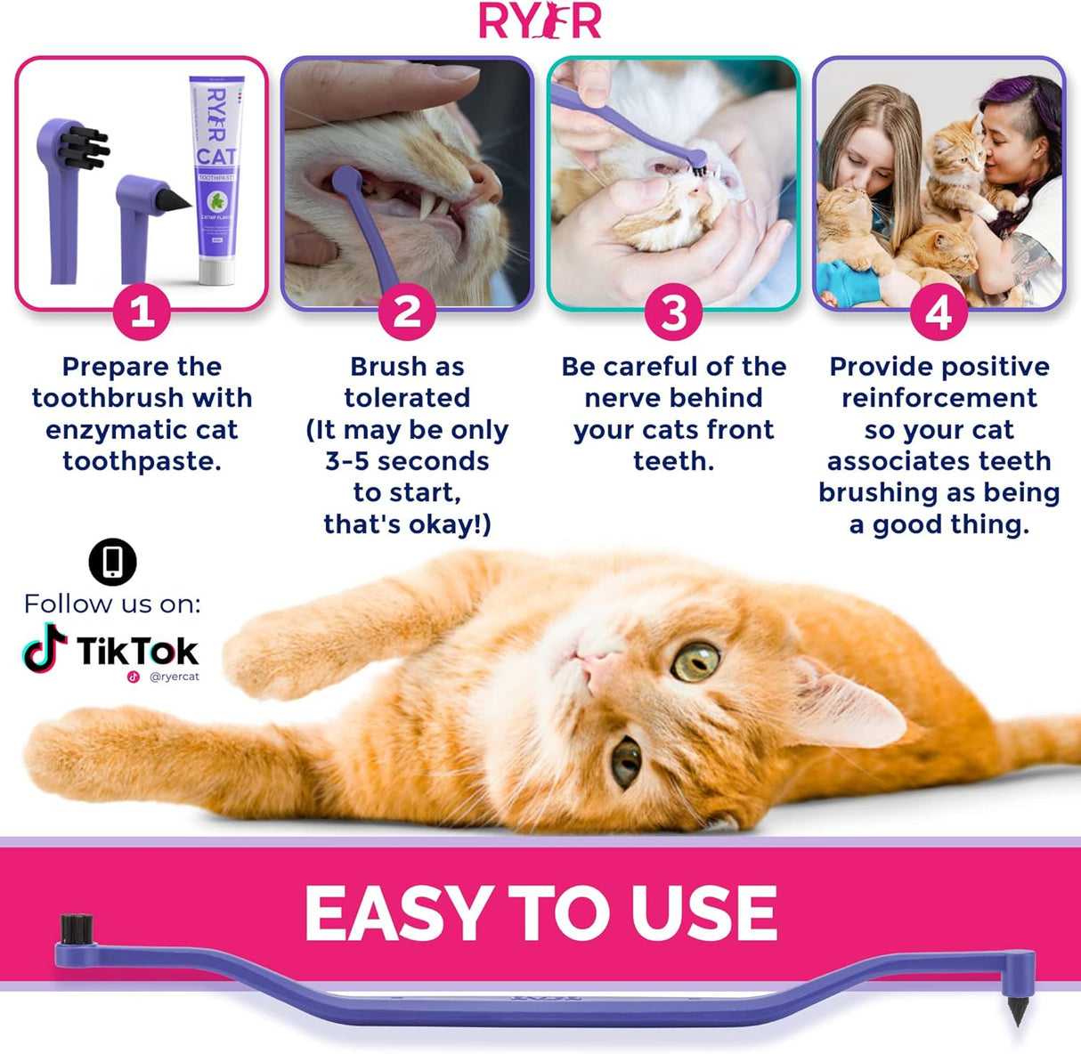 Cepillo de dientes para gatos muy pequeño