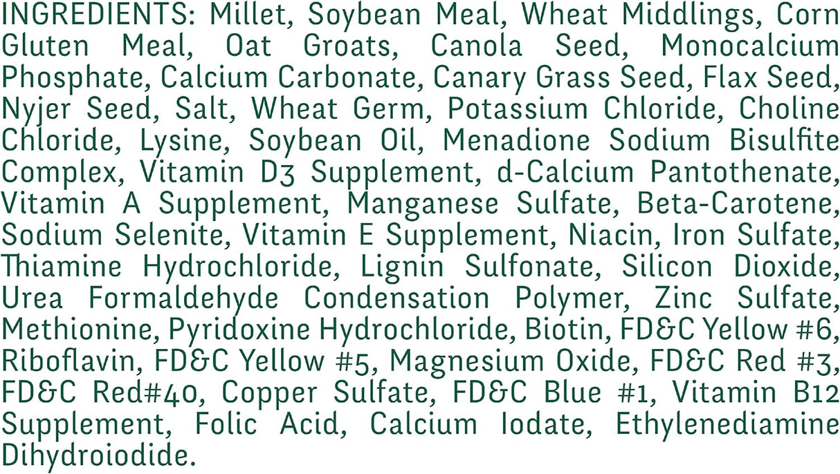 Colección de semillas de pájaro mezclas diarias y nutrición