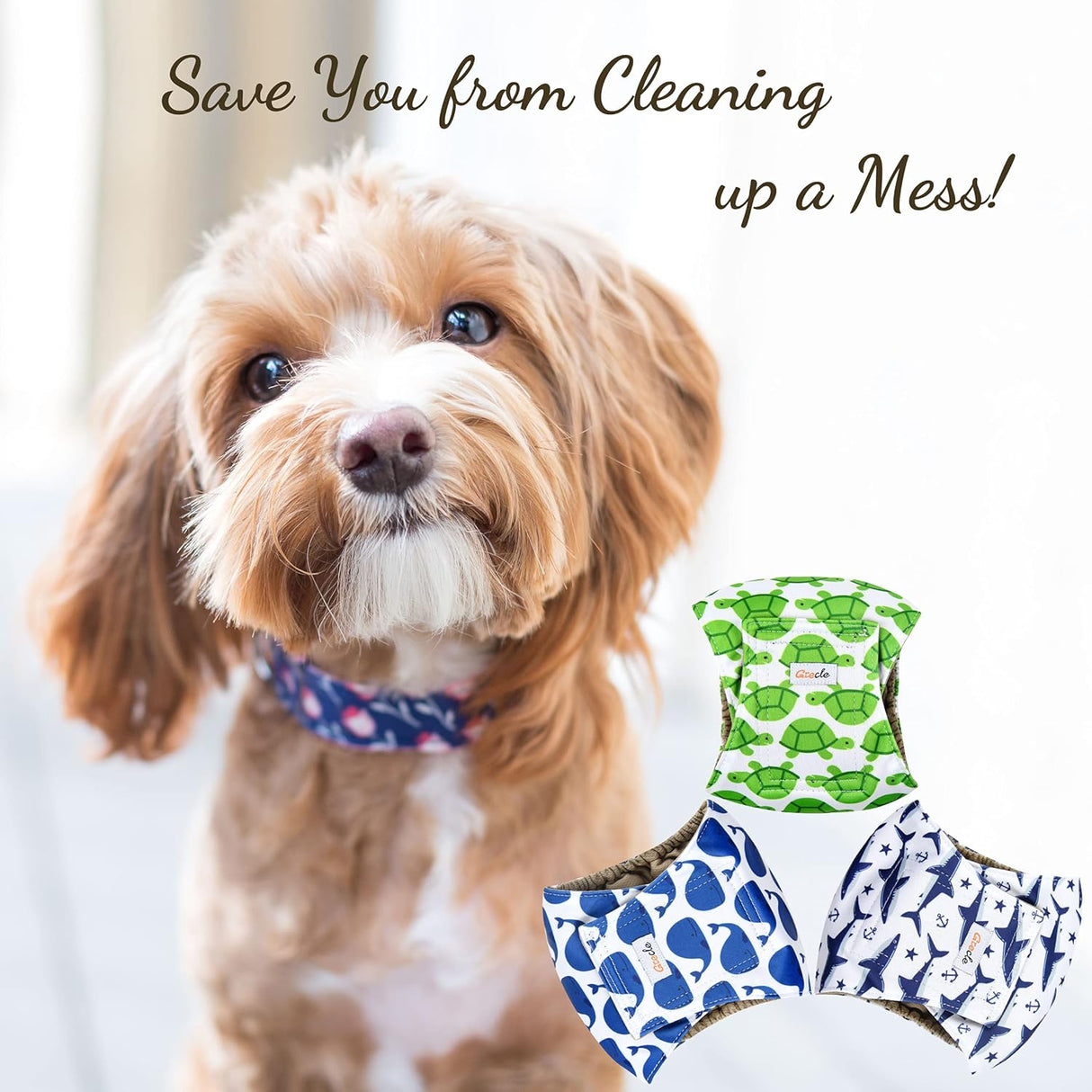 Grecle Pañales prémium para perros machos.Banda lavable para el vientre