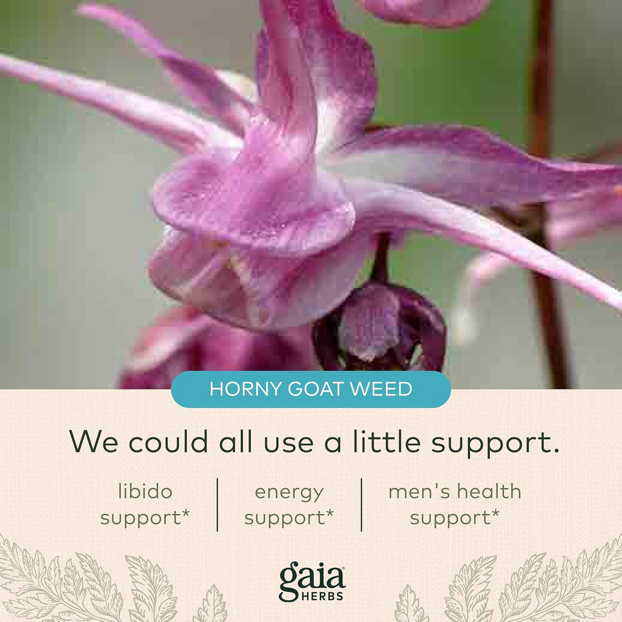 Suplemento herbario con palma enana hierba de cabra cachonda