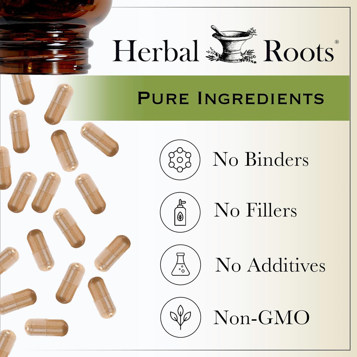 Suplemento Herbal Roots orgánicas de raíz de jengibre puro