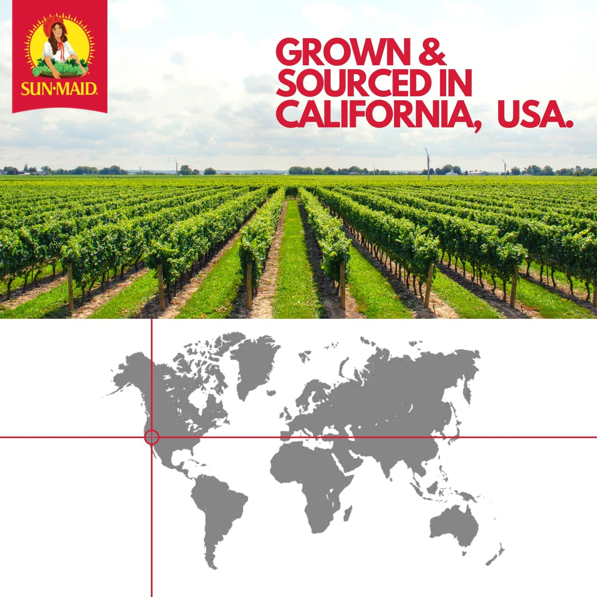 Raisinas Cubiertas de Yogur Sun-Maid - 12 Paquetes de 8 oz