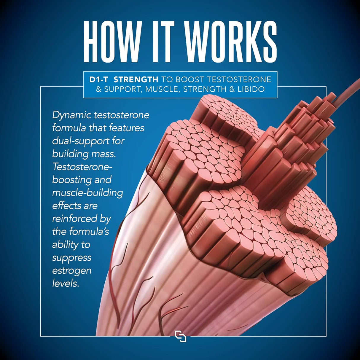 Potenciador de testosterona de fuerza para hombres