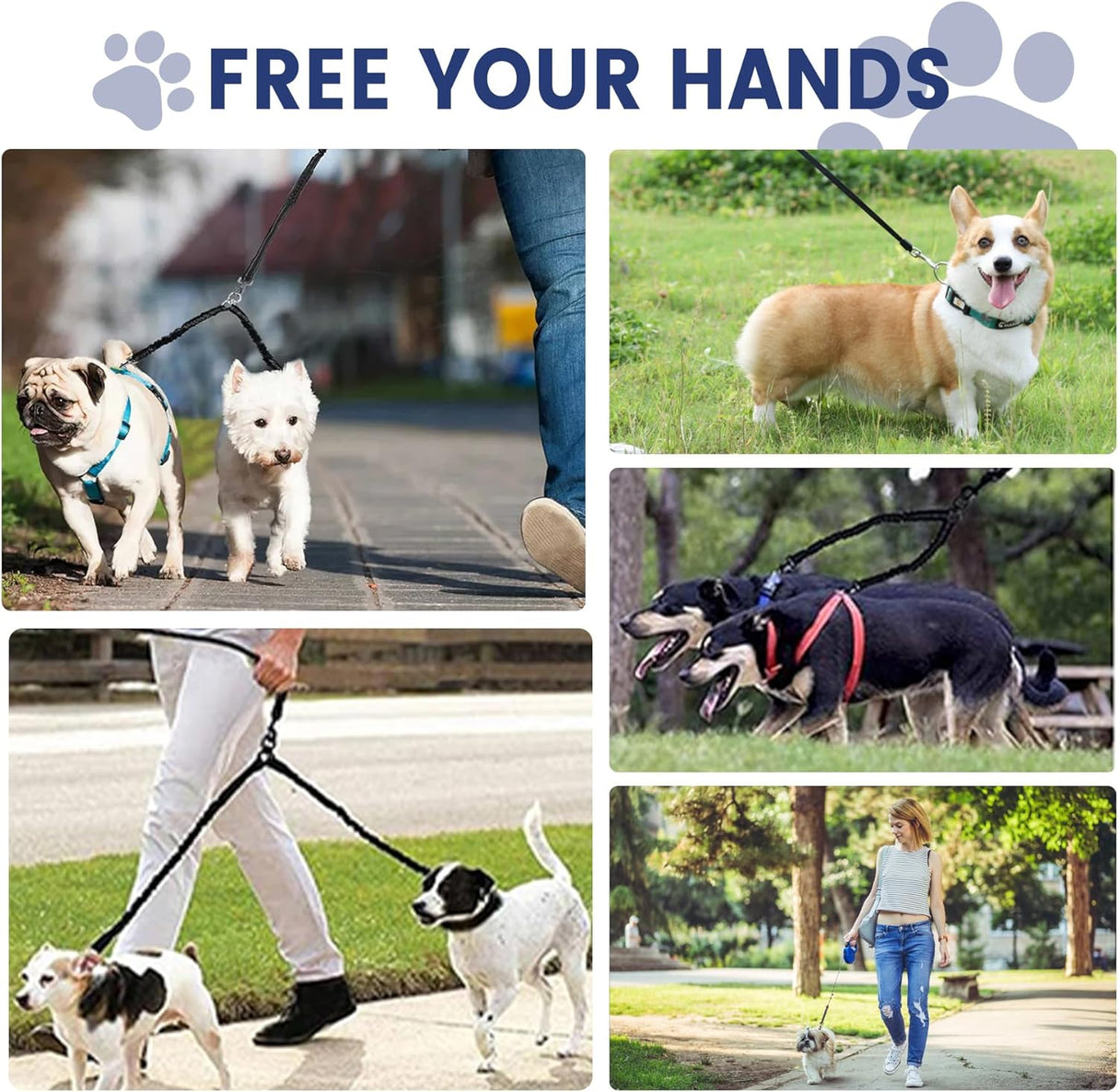 Correa Retráctil Doble para 2 Perros Grandes con Luz LED