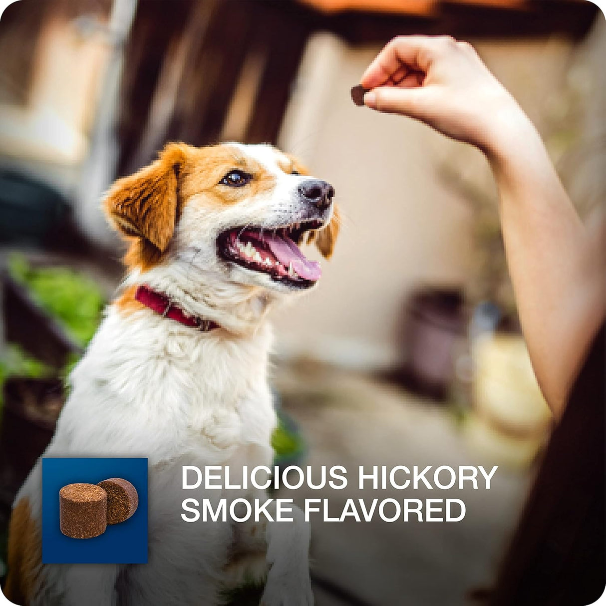 Vitaminas Suplemento 5 en uno para perros apoya la cadera