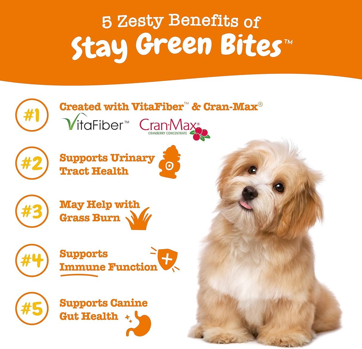 Vitaminas de hierba suave masticable para manchas de césped