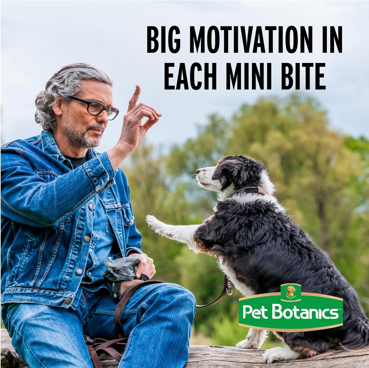 Premios para Perros Pet Botanics, Hígado de Cerdo, 20 oz