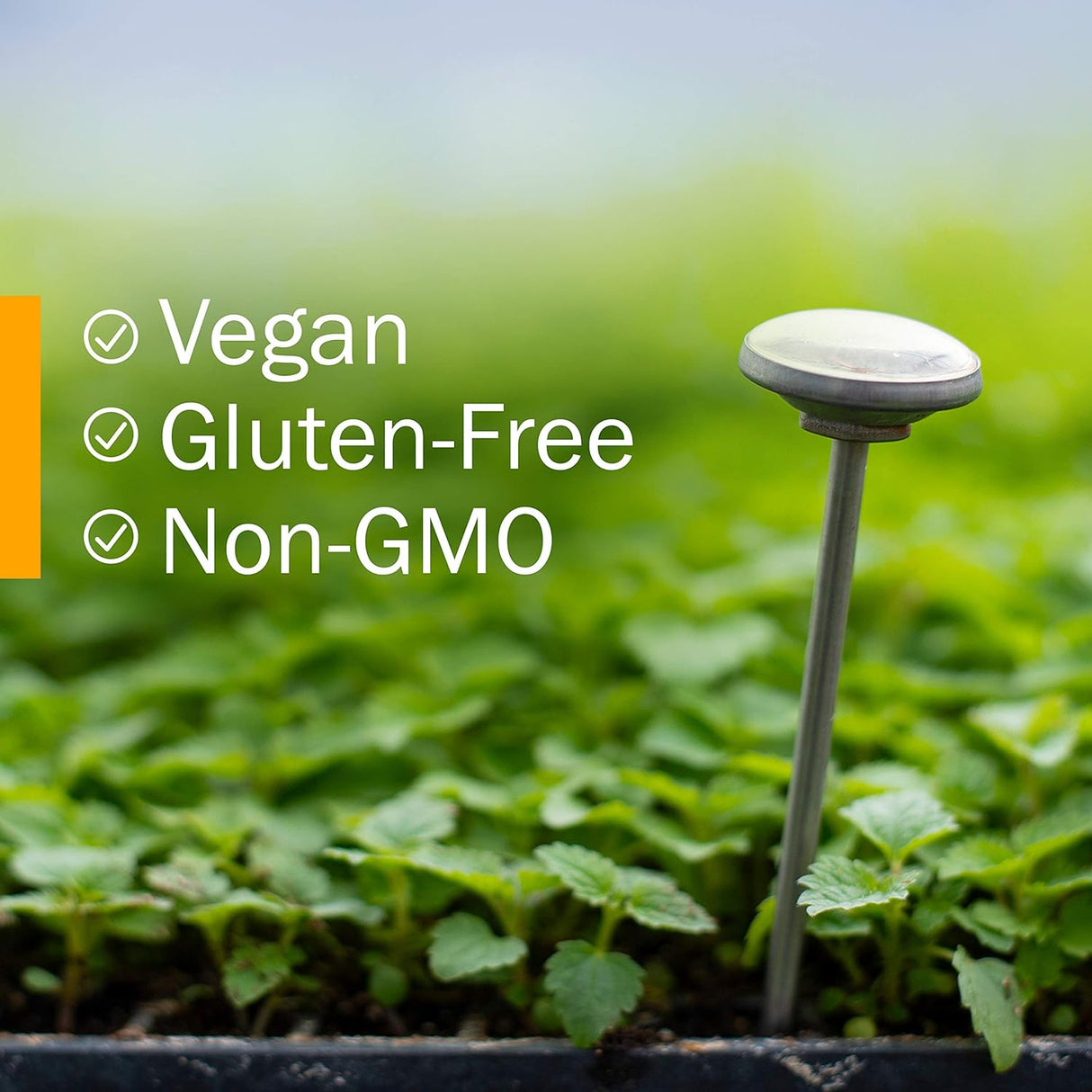 Suplemento Bálsamo de glicerina de limón Herb Pharm 1 Oz