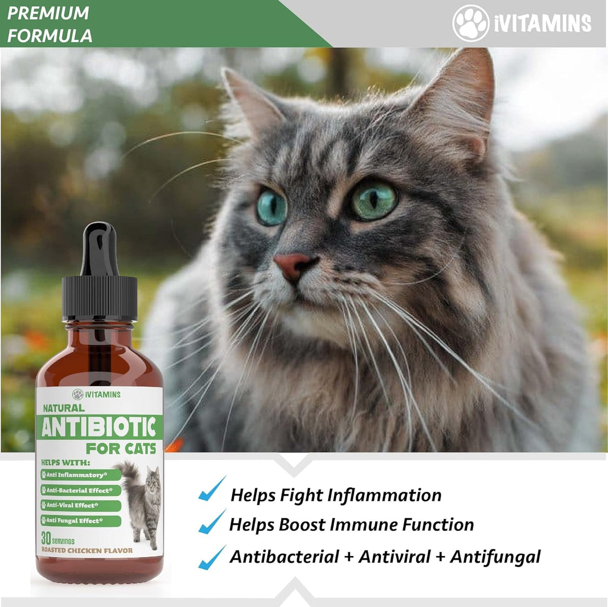 Suplementos para gatos, Antibióticos para gatos