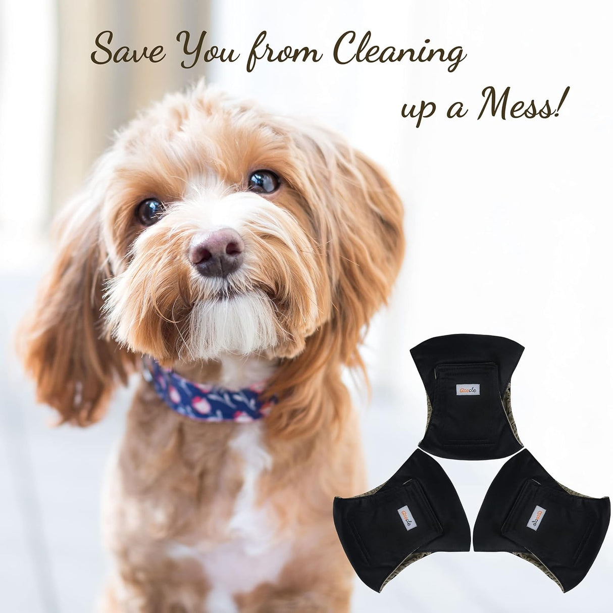 Grecle Pañales prémium para perros machos, pañales(negro, S)