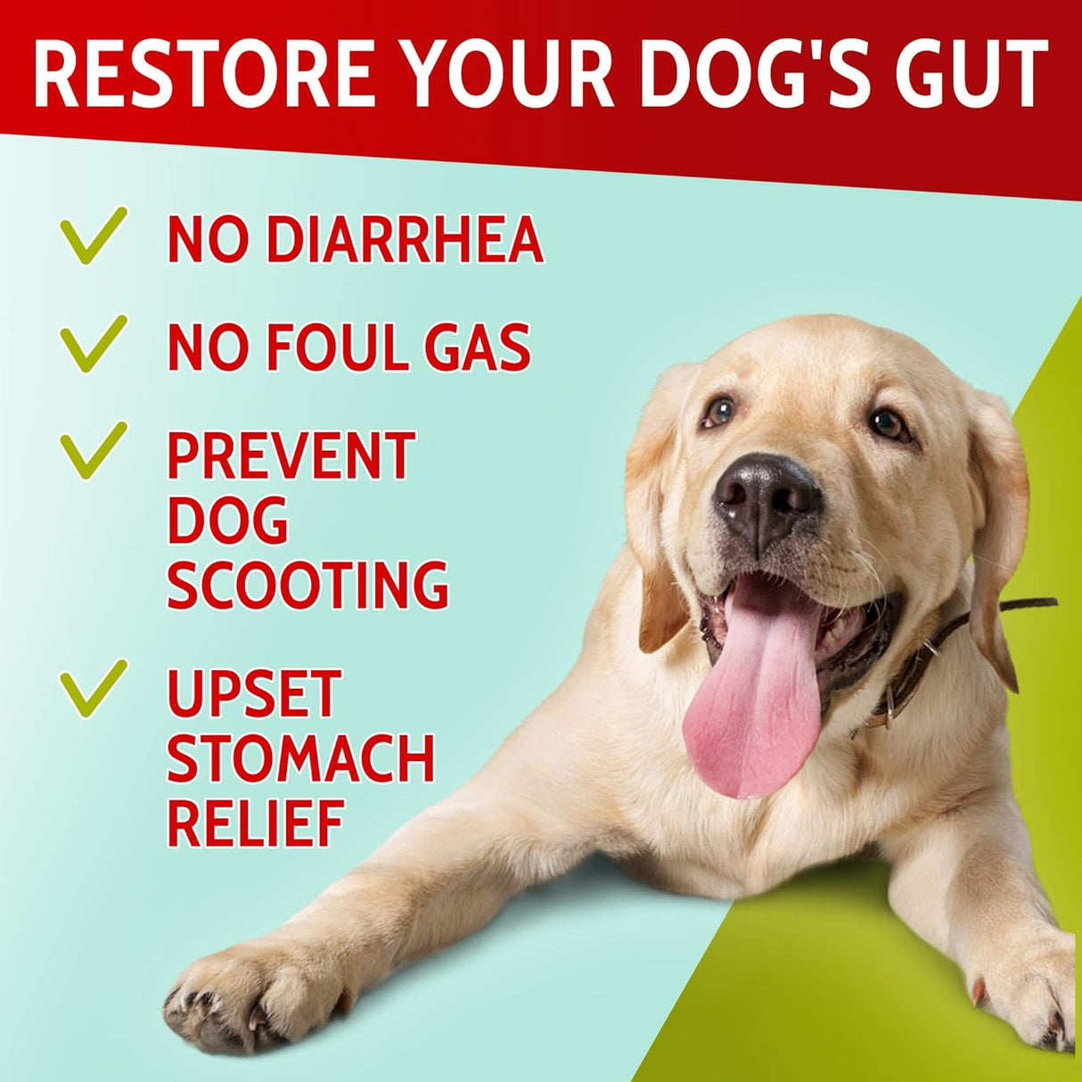 Vitaminas para perros 120 probióticos avanzados para perros