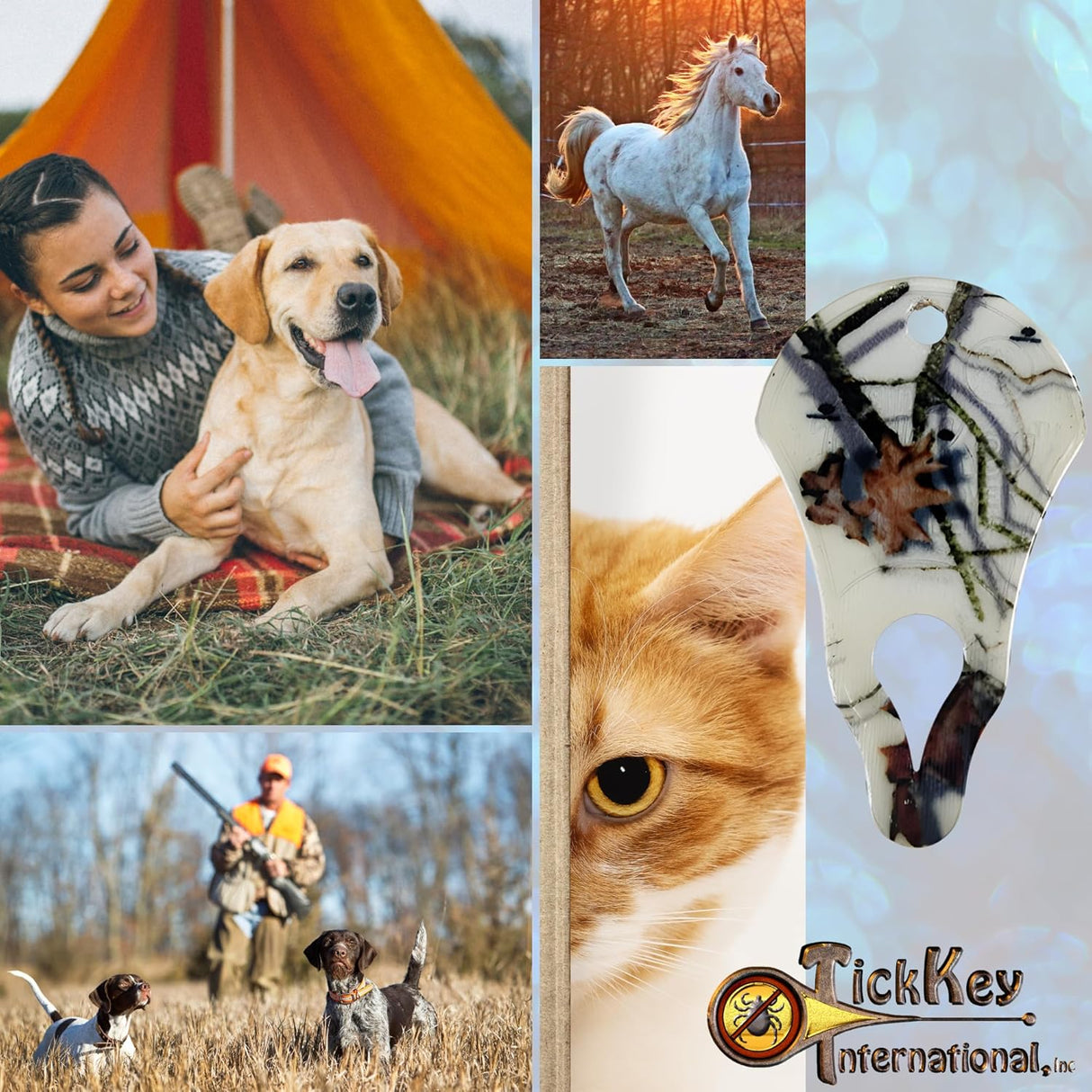 Dispositivo Quitatipos Original - Country Roots - Efectivo y Portátil