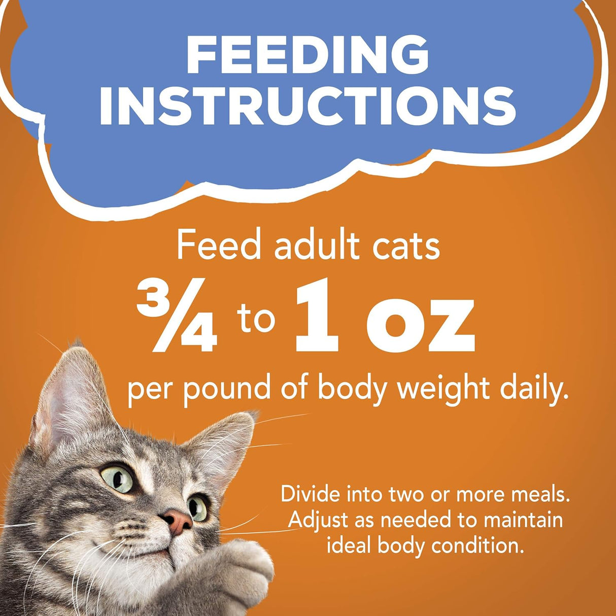 Alimento Sabrosas tiras de alimento húmedo para gatos