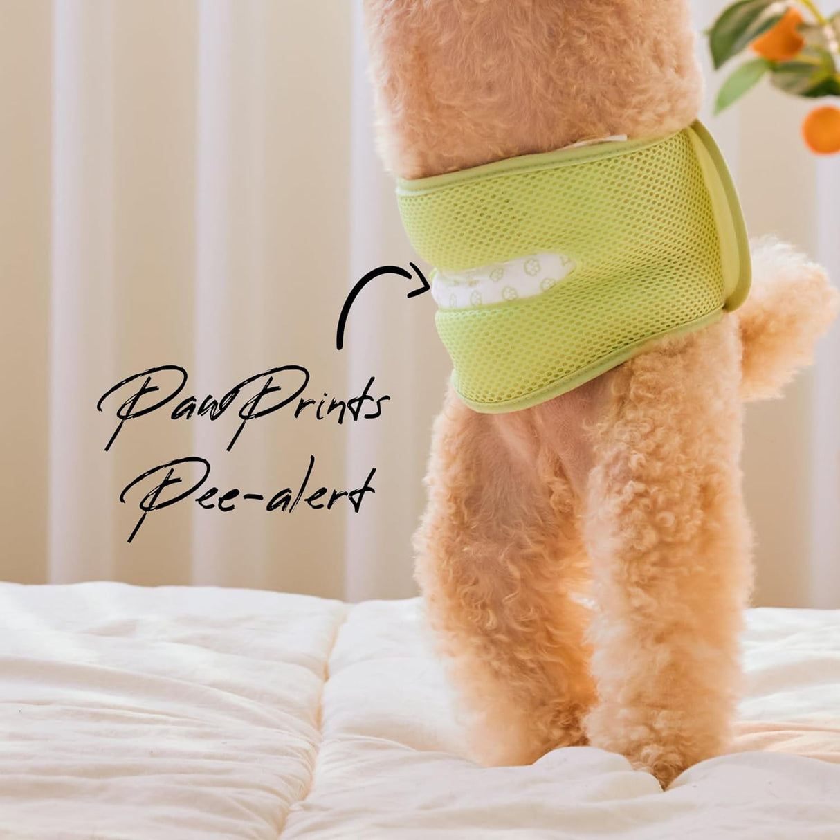 WICKEDPUP Kit de banda para el vientre para perros machos, 50 almohadillas