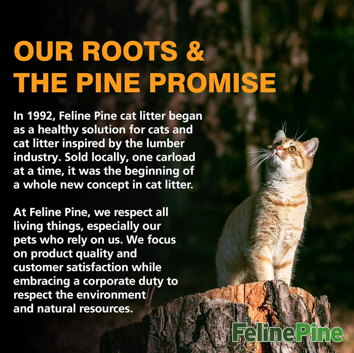 Arm & Hammer Piedra para gato Feline Pine Platinum 18lb, no aglomerante