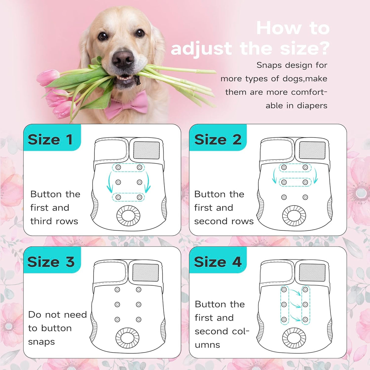 Paw Legend Pañales lavables y reutilizables para perras (3 unidades, XS)