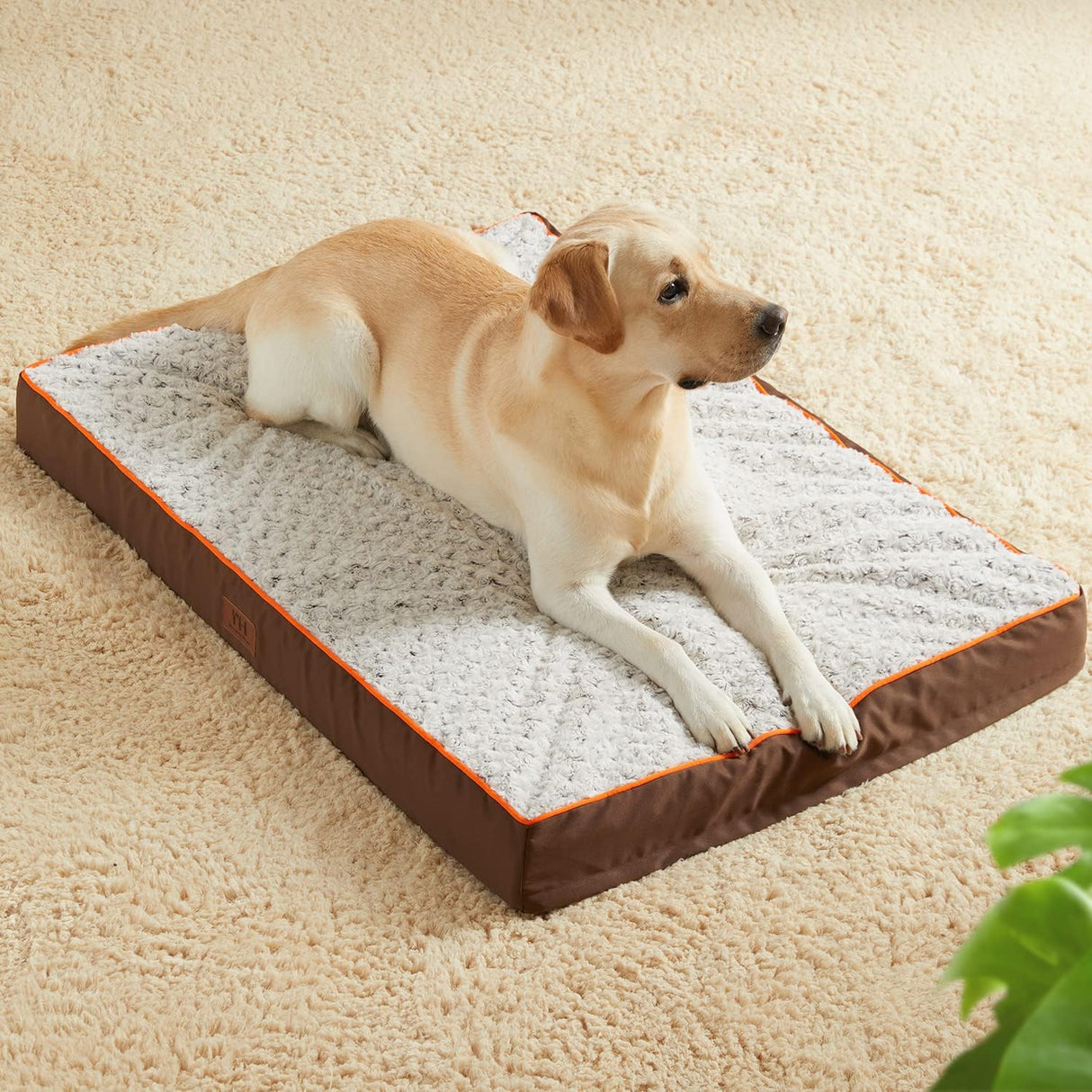 Cama ortopédica para perros grandes WESTERN HOME, espuma gruesa