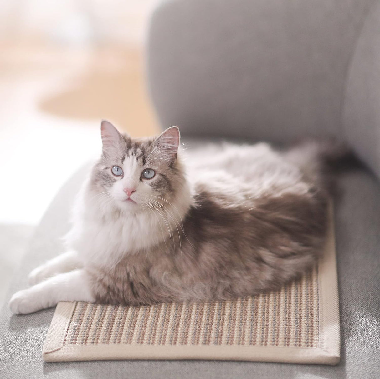 Alfombrilla de rascar para gatos tapete horizontal
