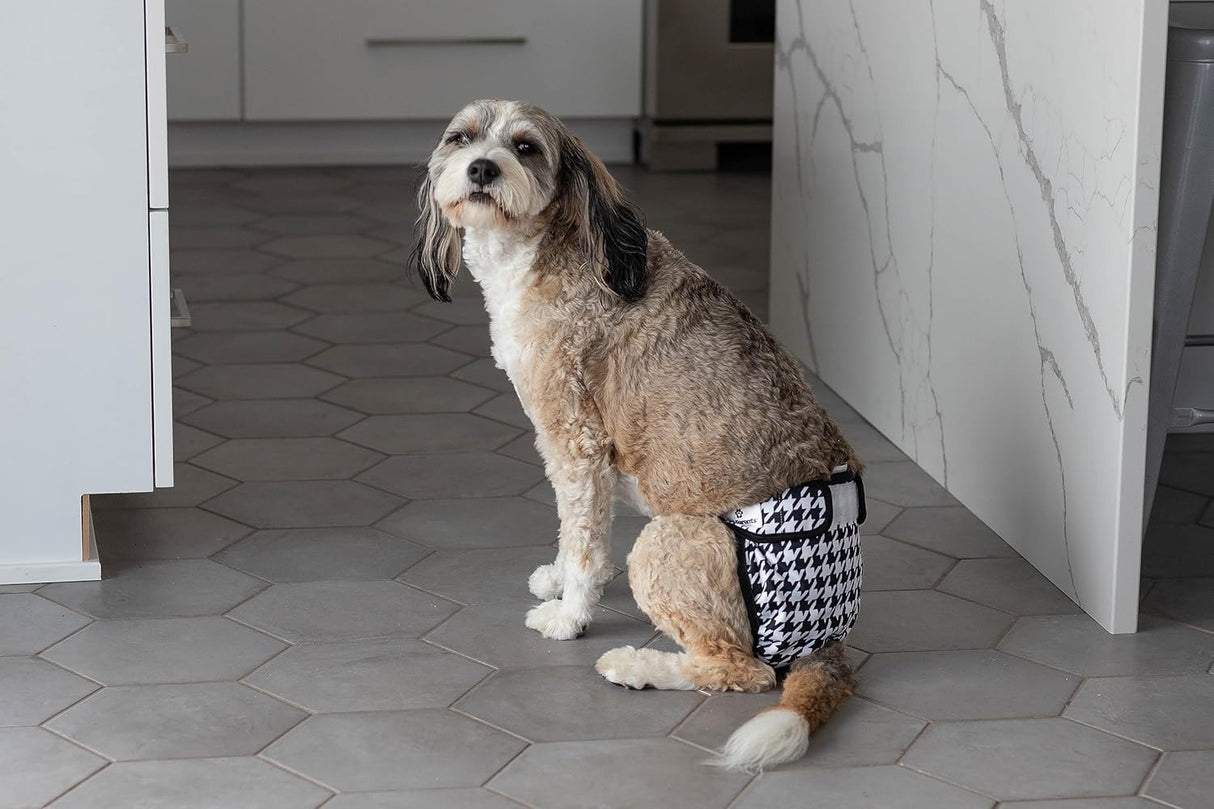 Pet Parents Pañales y extensores lavables prémium 3