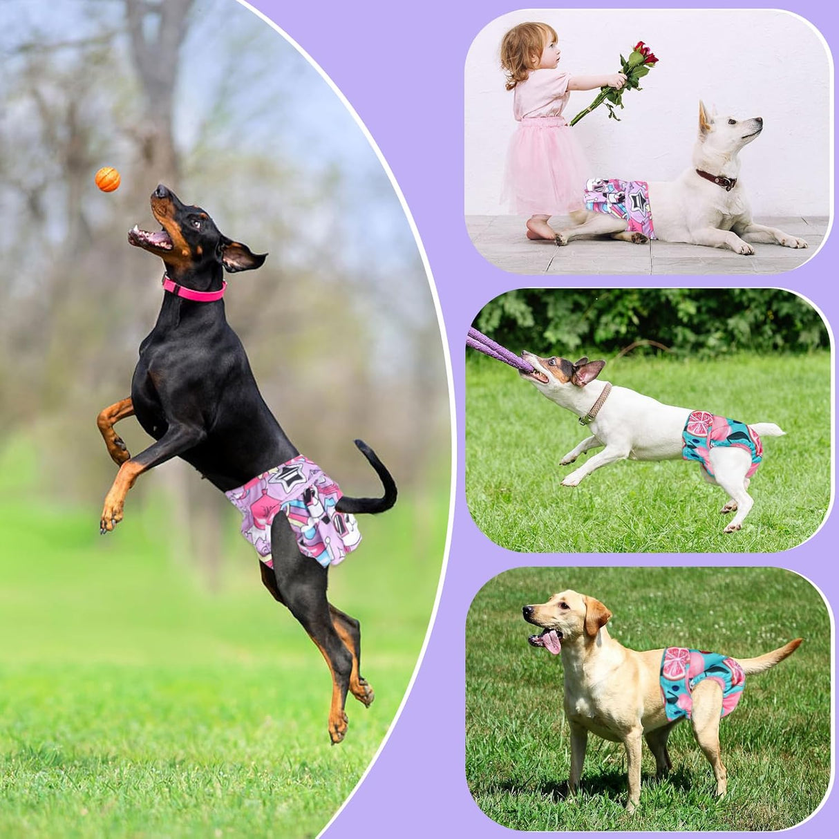 XPCARE Pañales lavables para perras con broches ajustables