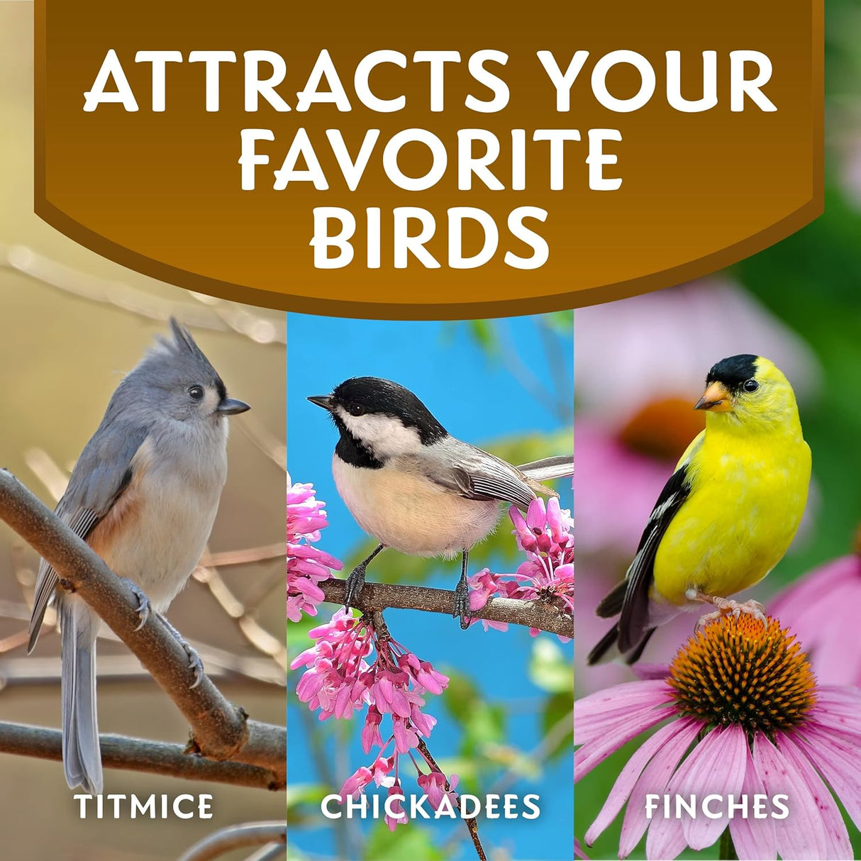 Alimento para aves Morning Song, semillas de girasol sin desechos 5.5 lb