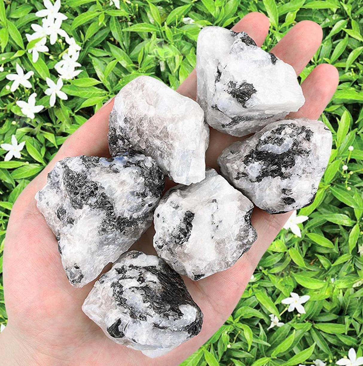 LAIDANLA Piedra lunar arcoíris de 2 pulgadas, en bruto