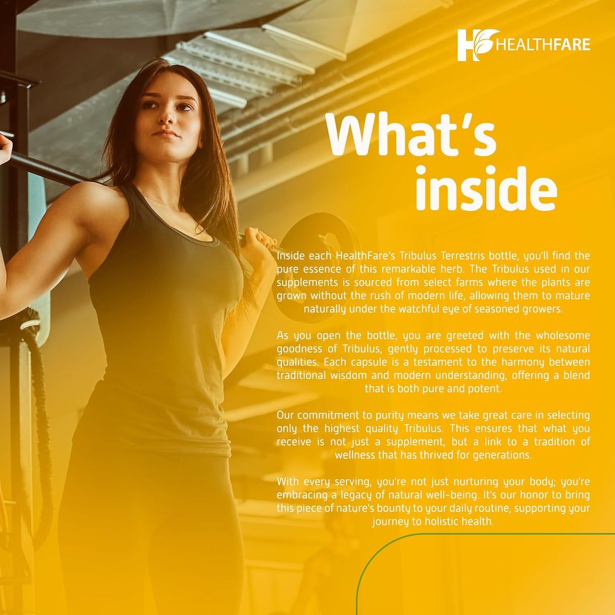 Suplemento Extracto de Tribulus Terrestris 32,500 mg 200u