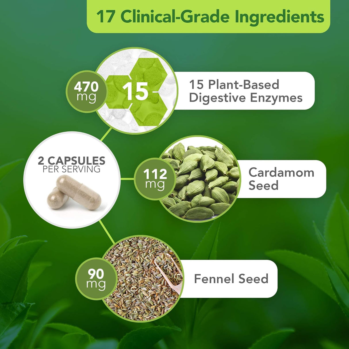 Suplementos Alimenticios para la salud intestinal