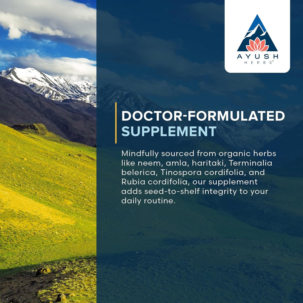 Suplemento ayurvédico para la piel y el apoyo digestivo90und