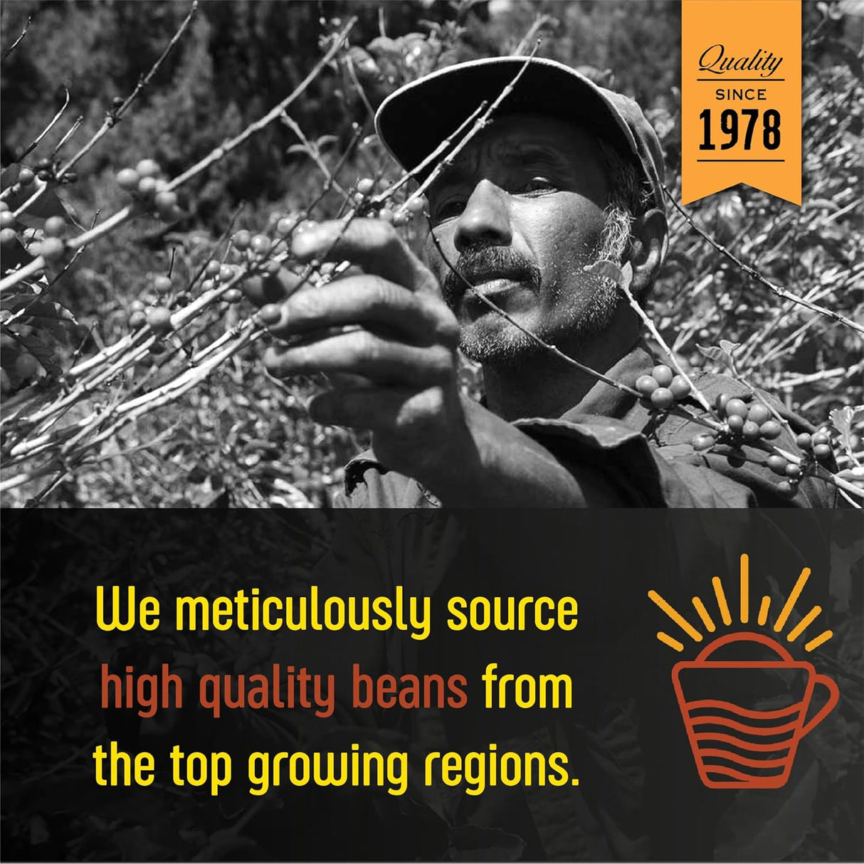 Café San Diego DECAF Pumpkin Spice, Molido Tostado 16 oz