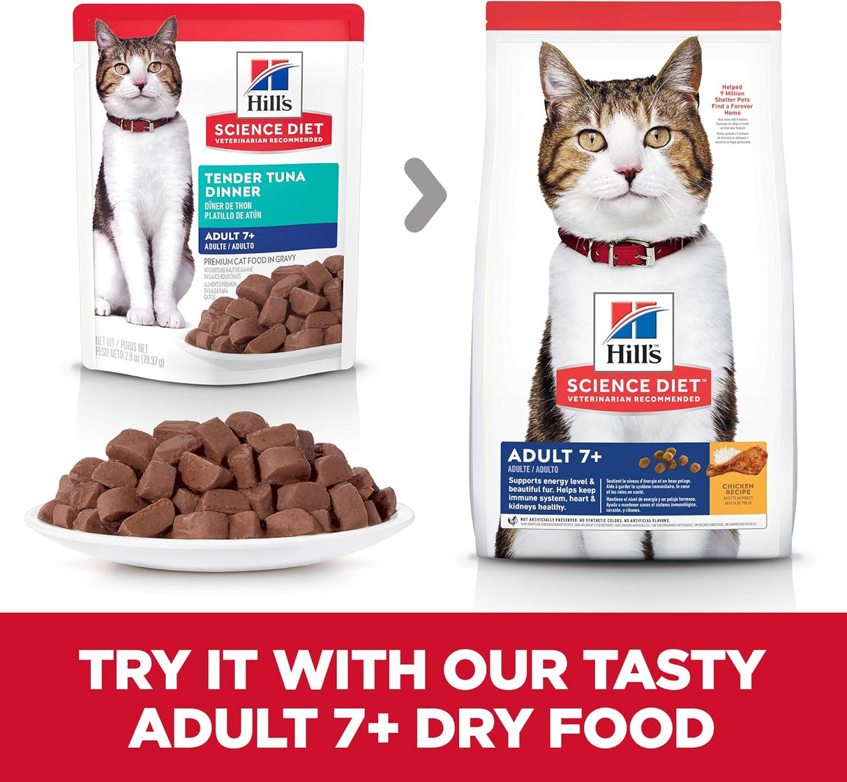 Alimento Bolsa de comida húmeda para gatos paquete de 24