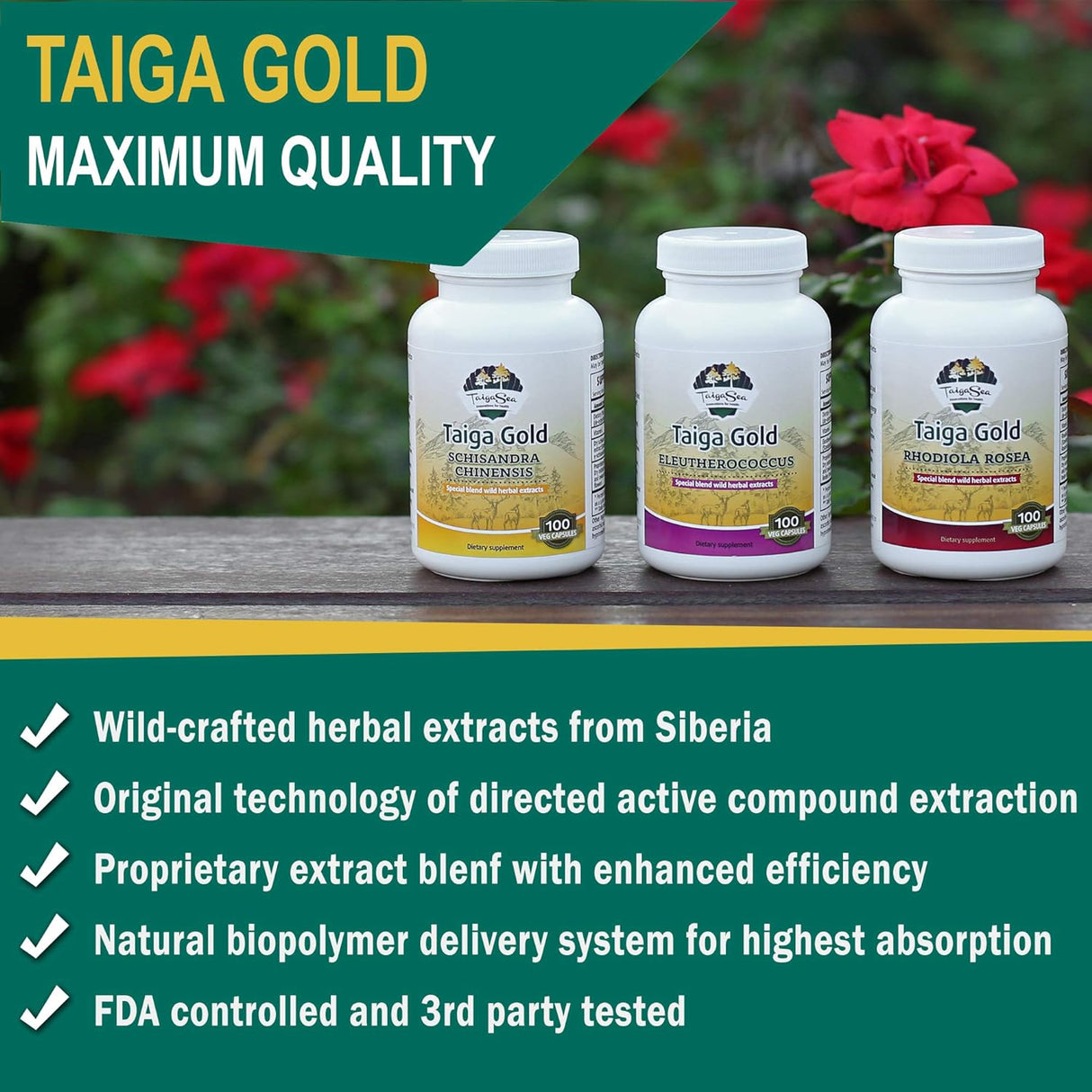 Suplemento Schisandra Chinensis hierbas siberianas silvestre