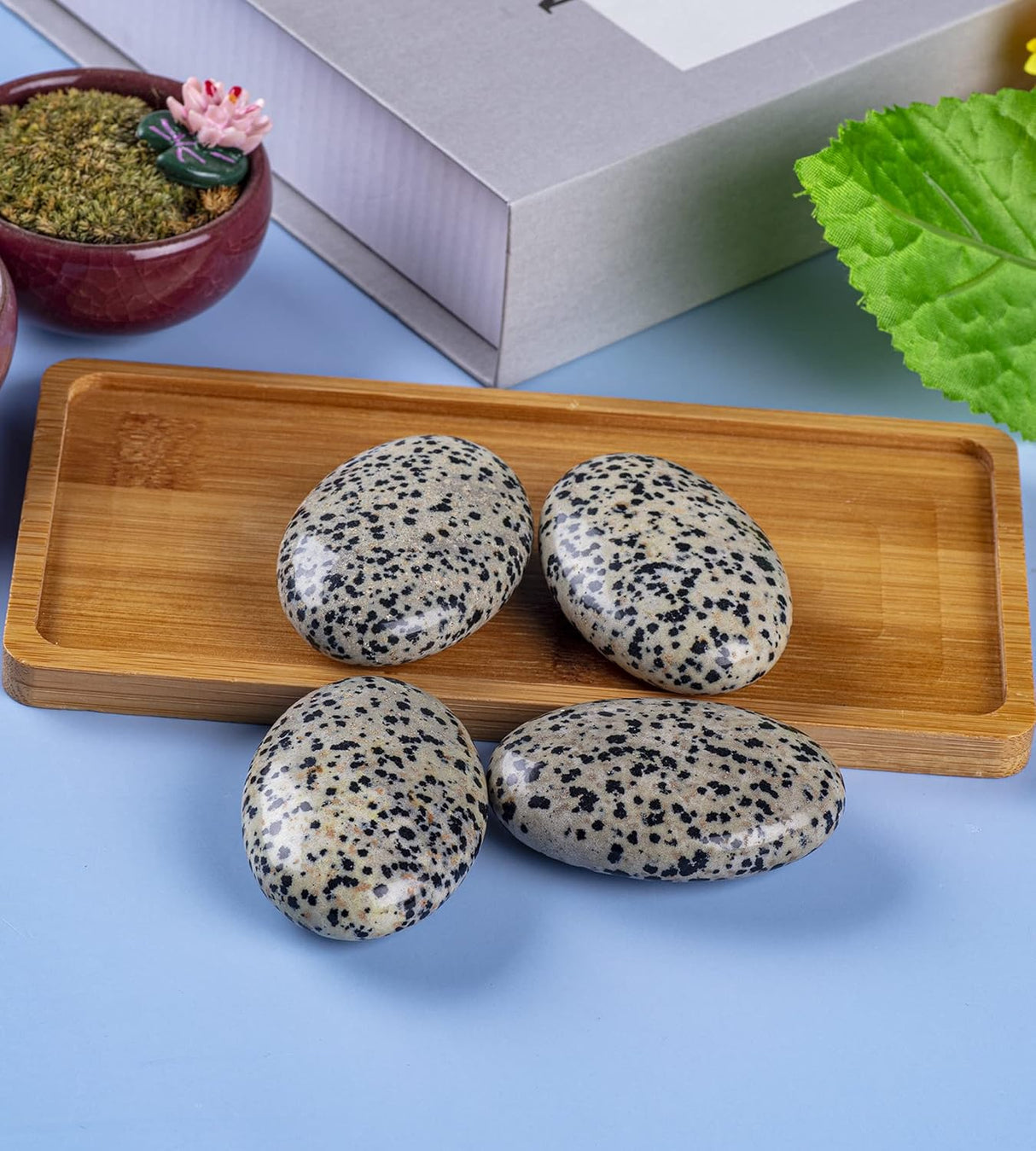 Piedra de Palma de Jaspe Dálmata - Cristal Sanador Ovalado