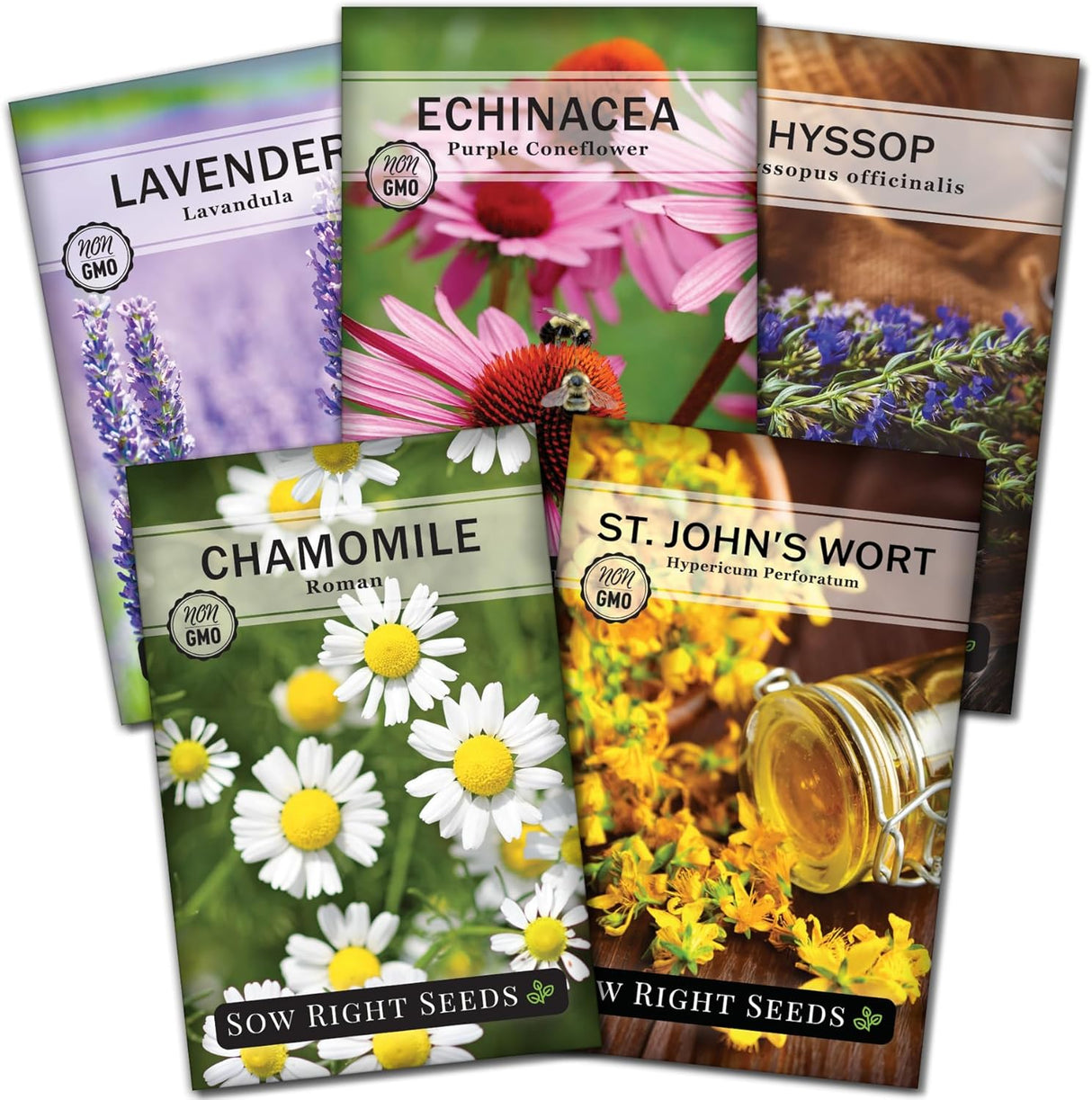 Colección de Semillas de Hierbas Medicinales - Sow Right Seeds