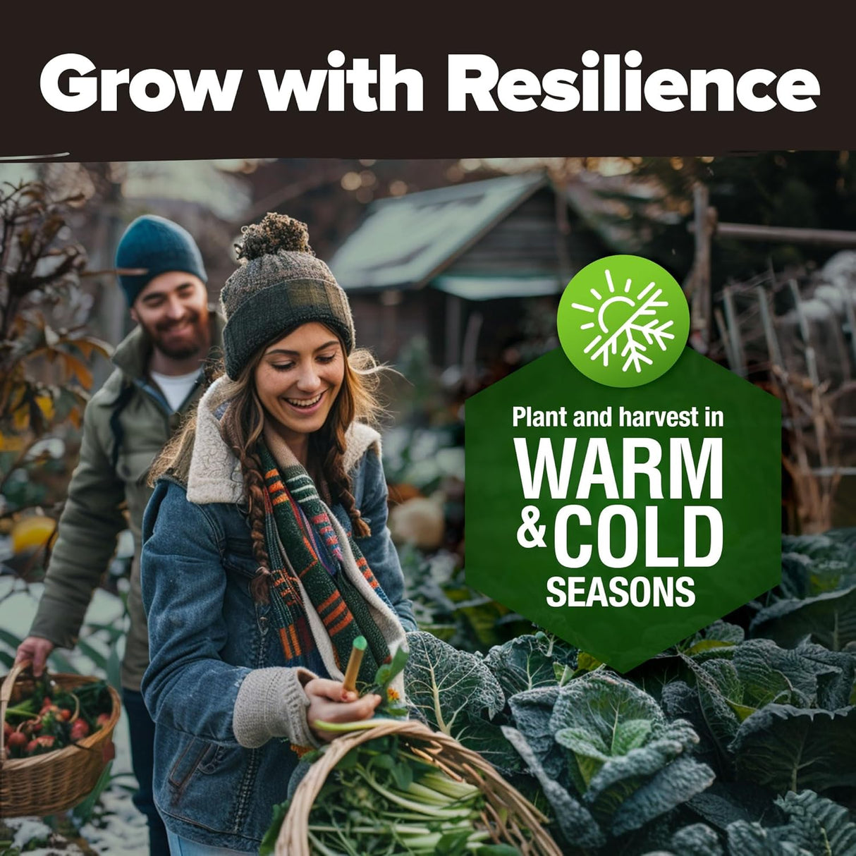 Pack de 55 Semillas de Vegetales Home Grown - No GMO