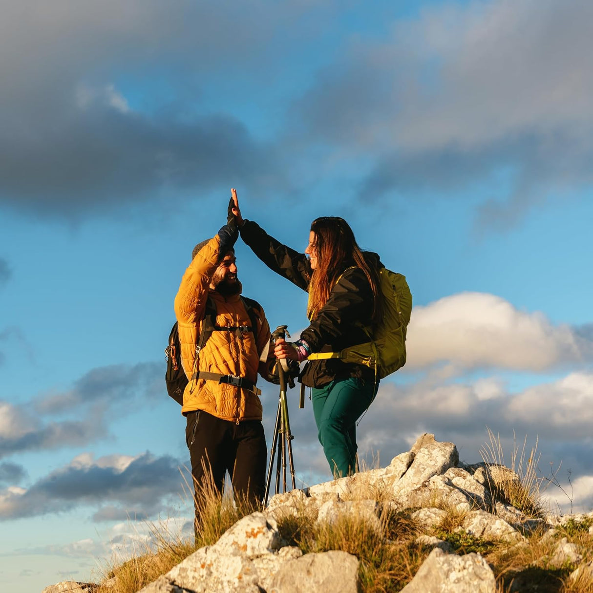 Suplemento Noni 200 cápsulas, puro y sin diluir sin aditivos