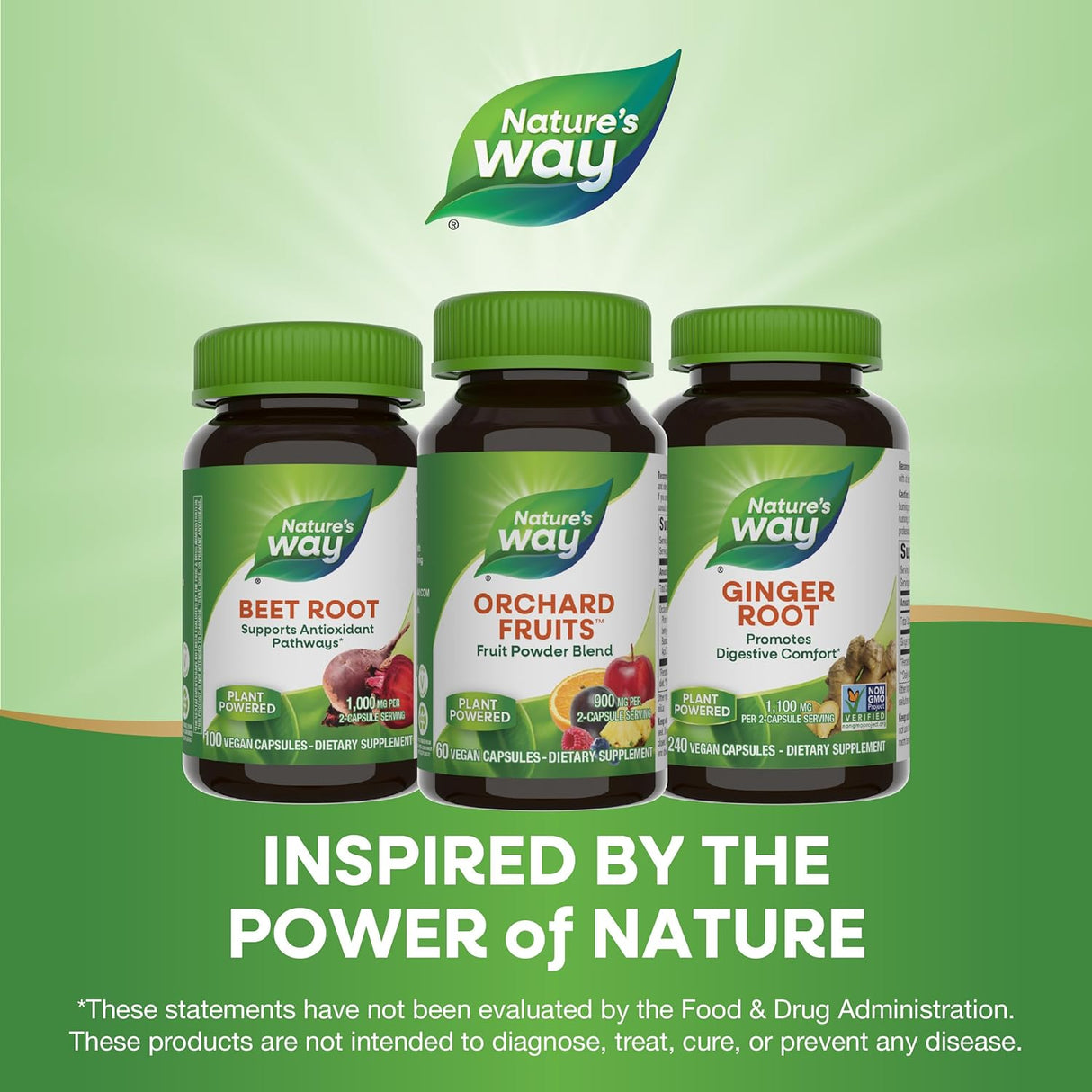 Suplemento Nature's Way mezcla de huerto de polvo de frutas