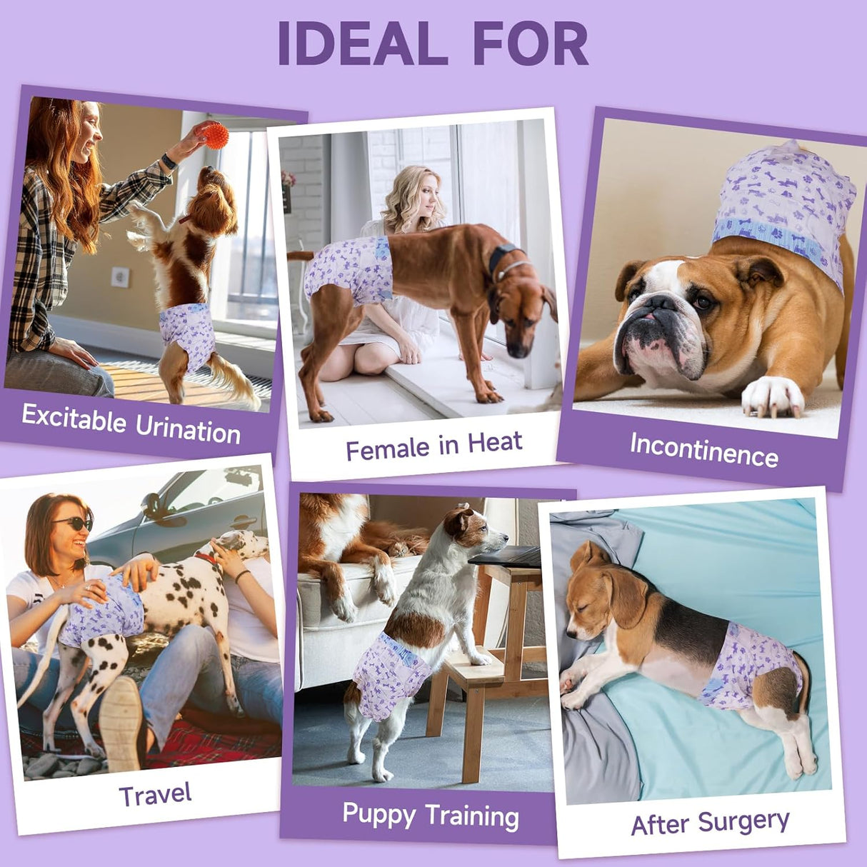 MICOOYO Pañales desechables para perras hembras cómodos