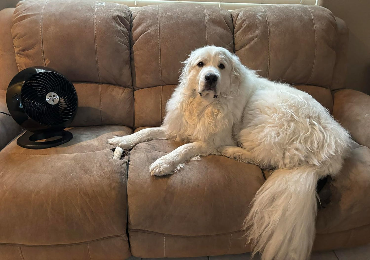 Ventilador de Piso Vornado 560, Mediano, Modelo CR1-0276-06