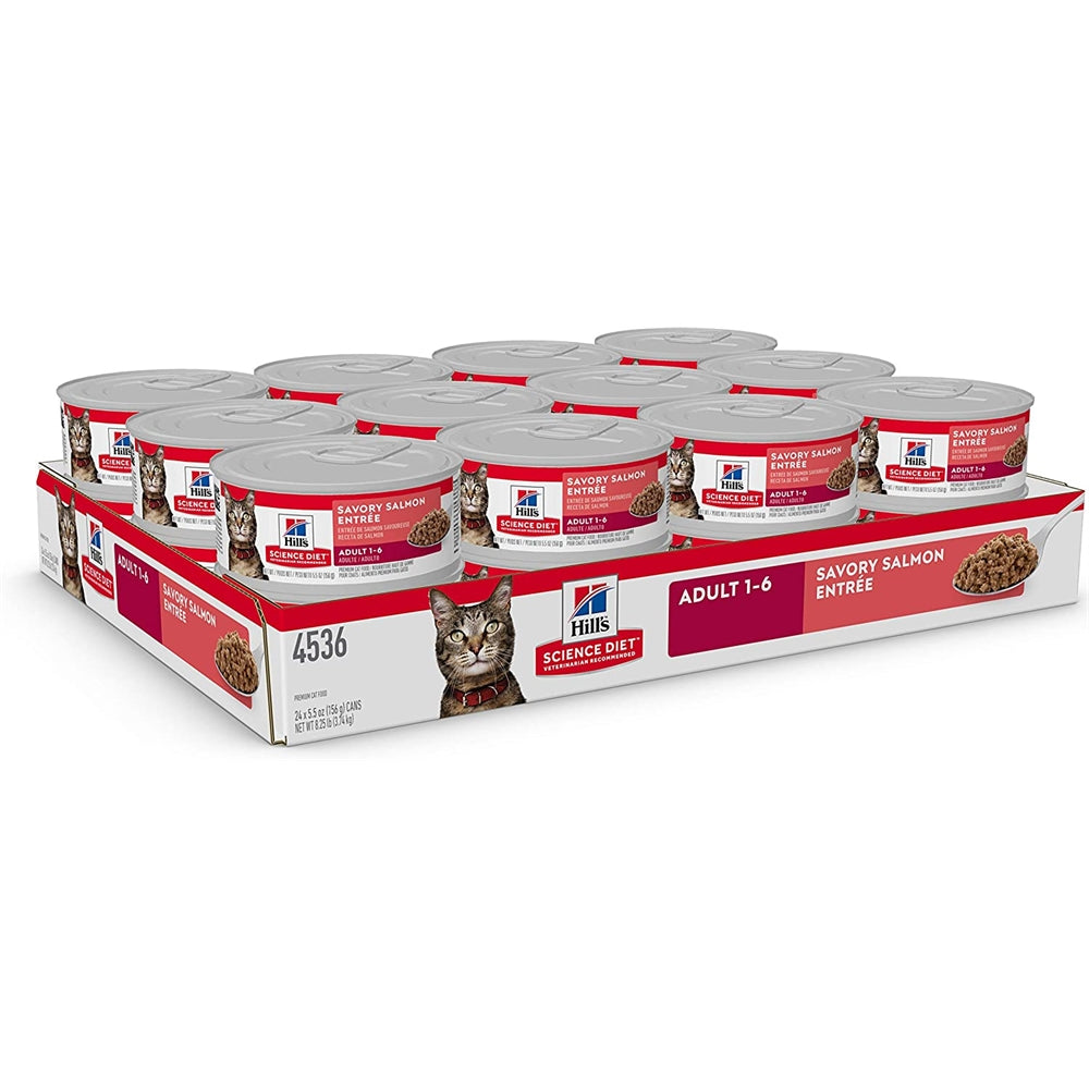 Alimento húmedo para gatos receta de salmón sabroso