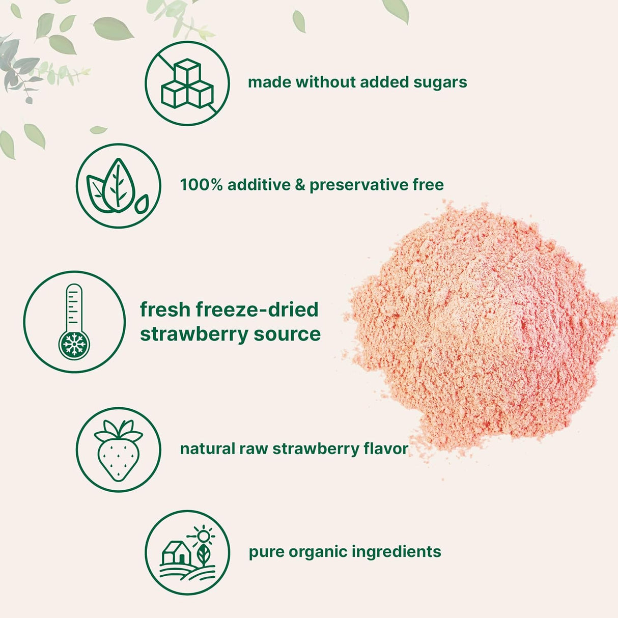 Suplemento Polvo liofilizado de fresa orgánica 1 libra