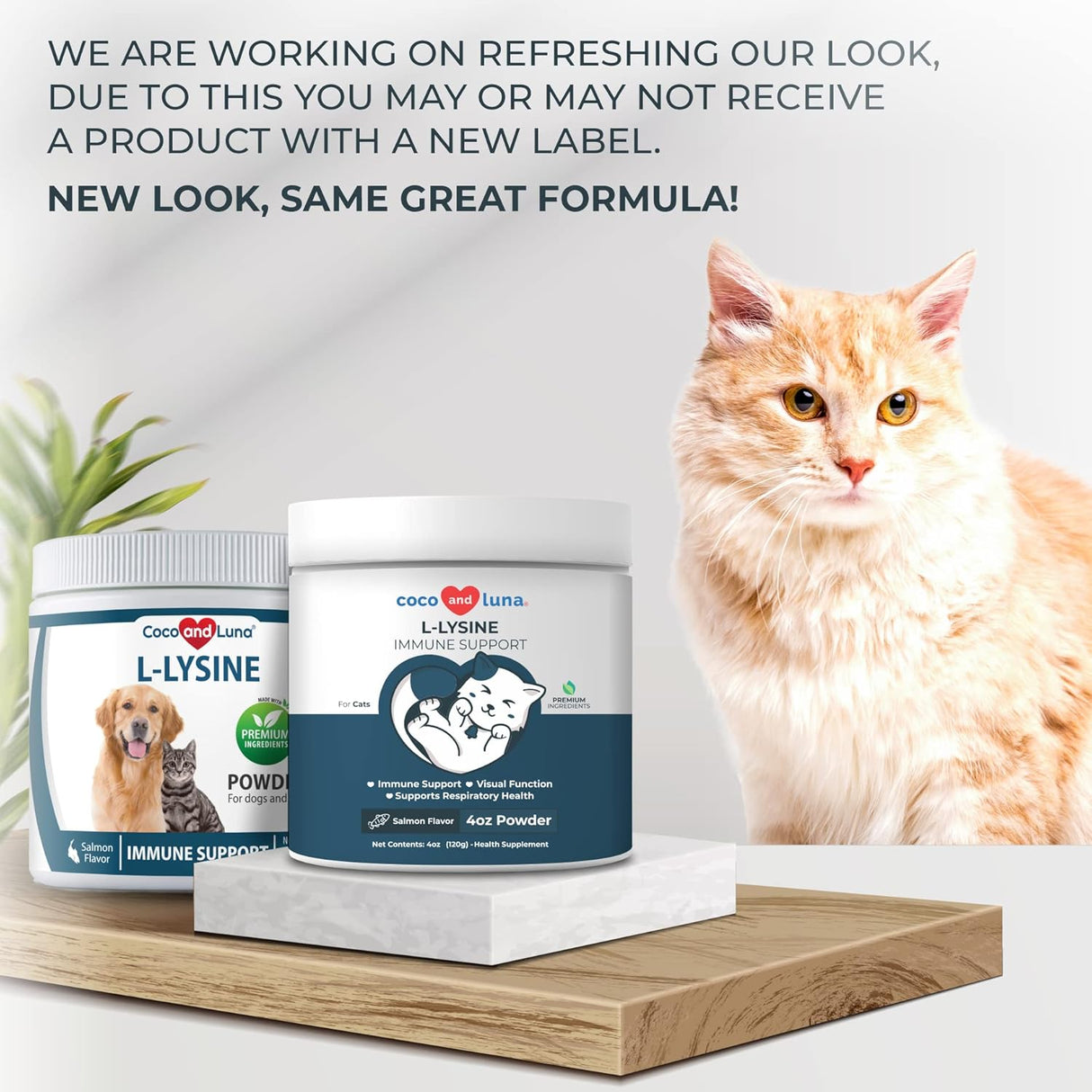 Suplementos Suplemento para gatos para estornudos