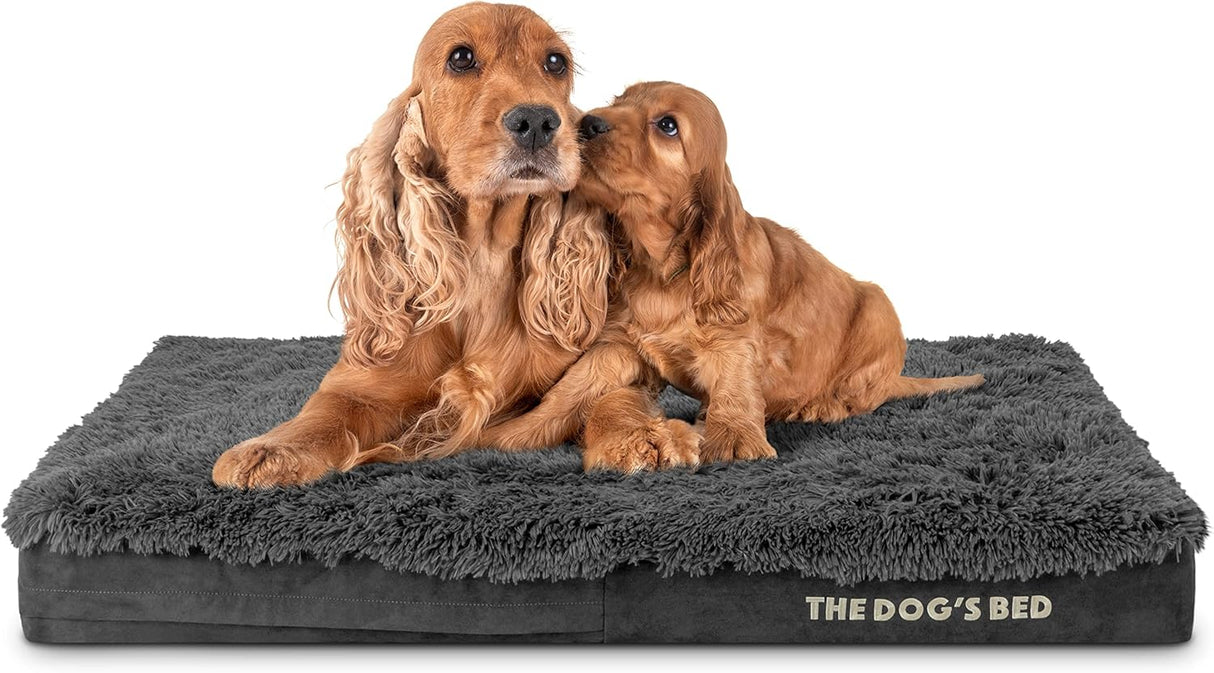 Cama ortopédica para perros, Dog’s Bed, espuma memoria, 40x25