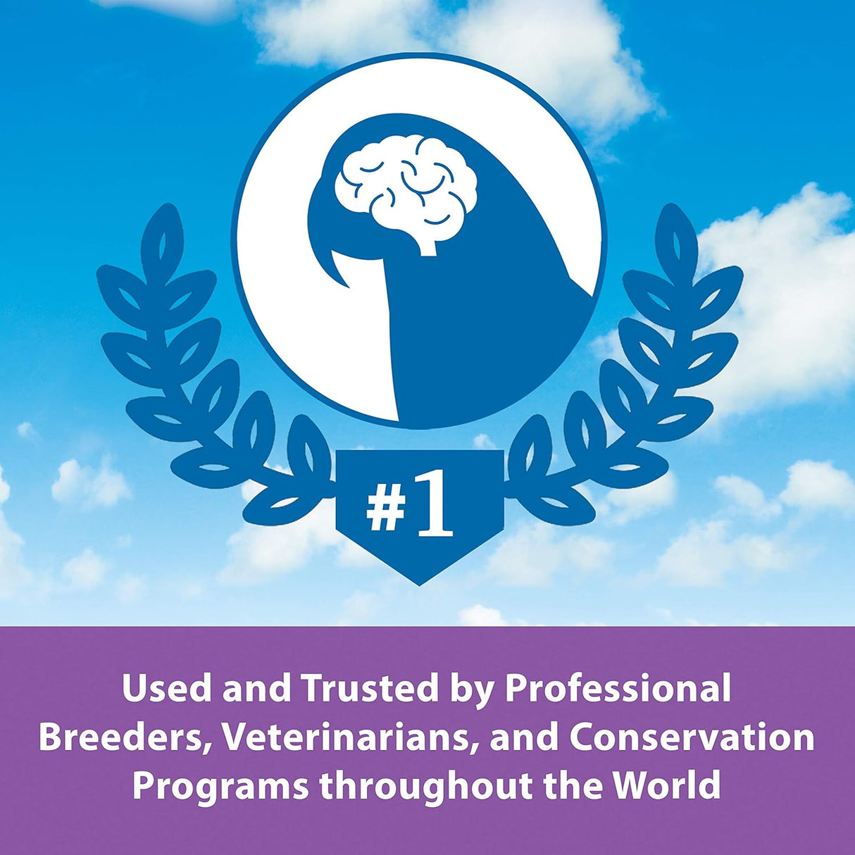 Kaytee Alimentación manual exacta para loros periquitos